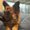 Photo of Rubina P.