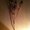 Photo of Qype User (hellom…)