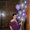 Photo of Lenette R.