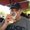 Photo of Steve J.