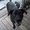 Photo of Candy L.