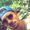 Photo of Vasil H.