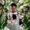 Photo of Linh T.