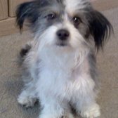 GREAT HILLS PARK TRAIL - 107 Photos & 39 Reviews - 10801 Sierra Oaks ...