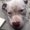 Photo of Meta_ M.