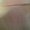 Photo of Ninad K.