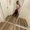 Photo of Cinthia T.