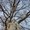 Photo of Qype User (cyril…)
