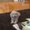 Photo of Jihee Y.