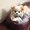 Photo of Ginnee S.