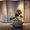 Photo of Yoshi N.