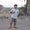 Photo of Luis S.