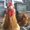 Photo of Cindy F.