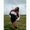 Photo of Jessica J.