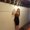Photo of Michelle M.