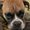 Photo of Guinevere D.