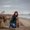 Photo of Deb M.