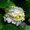 Photo of RK User (gaumen…)