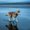 Photo of Jaspreet K.