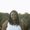 Photo of Kiana P.