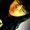 Photo of Jenifer J.