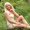 Photo of Larisa d.