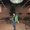 Photo of Everlong_angelica M.