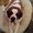 Photo of Poozle K.