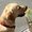 Photo of Qype User (kyussm…)