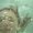 Photo of Nadya S.
