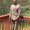 Photo of Zeffery F.