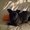 Photo of Mugsy C.