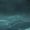 Photo of Venial W.
