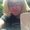 Photo of Dani S.
