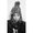 Photo of Esther K.