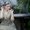 Photo of Giedre J.