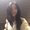 Photo of Fernanda R.