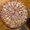 Photo of Mandeep A.