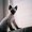 Photo of Raelene B.