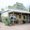 Photo of Liz S.