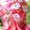 Photo of Michelle H.