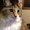 Photo of Daisy-Chisel P.