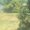 Photo of Parys M.