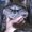 Photo of Yosh W.
