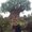 Photo of Vianey C.