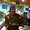 Photo of Marty B.
