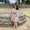 Photo of Alejandra B.