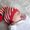 Photo of Jannette S.