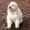 Photo of Darla S.