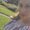 Photo of Mayra C.